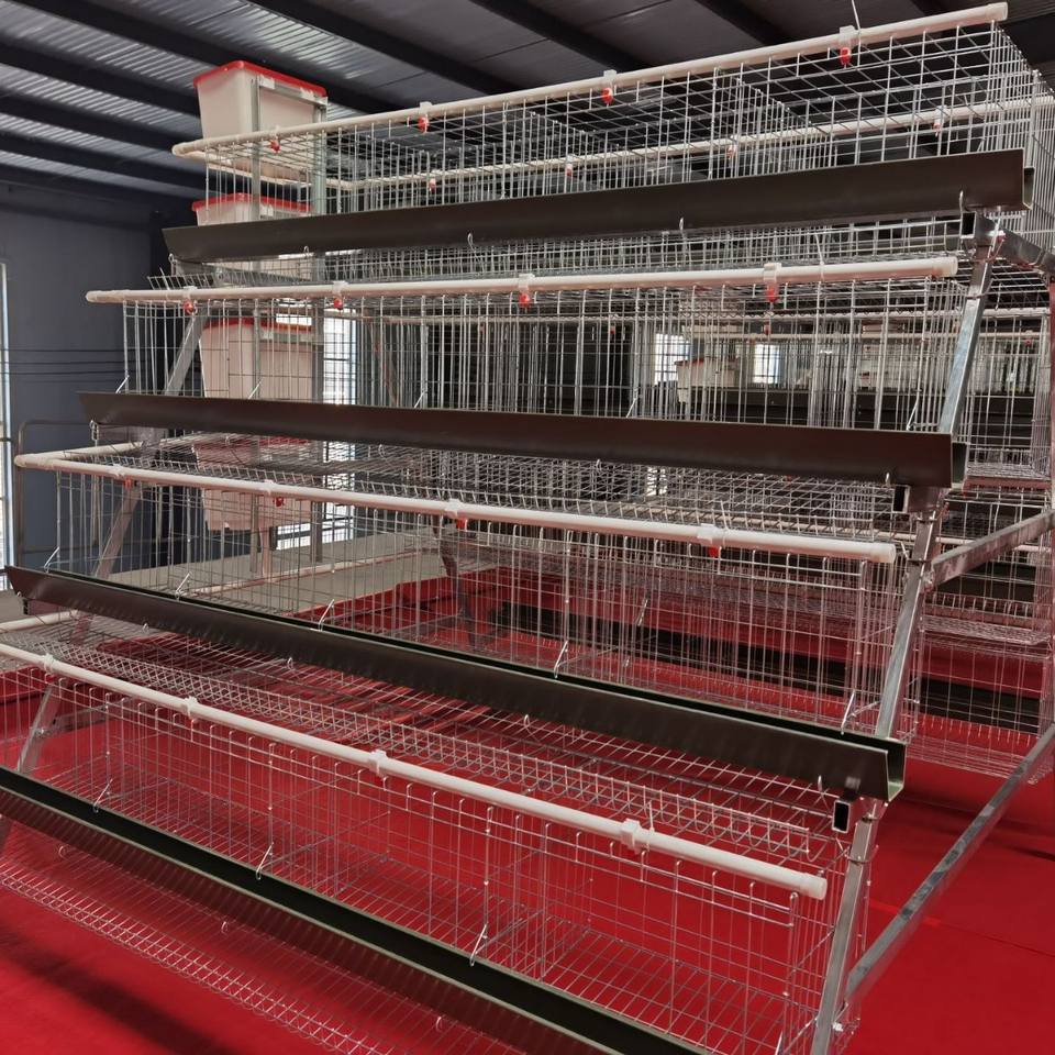 Commercial Layer Chicken Cage System | Modular Poultry Equipment for ...