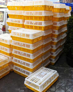 Cage à volaille en plastique pour poulet canard oie transport boîte de chiffre d'affaires pour poulet vivant lapin <span class=keywords><strong>poussin</strong></span> utilisé dans les fermes - Product Image 1