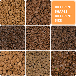 อาหารแมวแบบเม็ดแห้ง สูตรเนื้อสัตว์สูง ผลิตภายใต้แบรนด์ของลูกค้า สำหรับส่งออก - Product Image 6