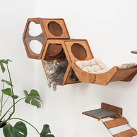 Étagère murale d'escalade pour chat, plateforme de saut, mobilier écologique pour animaux de compagnie, échelle murale d'escalade, étagère en bois pour chat
