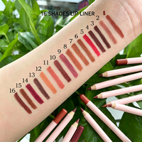 Nouveau Kit Maquillage Lèvres 2026 – Vente en Gros – Gloss et Crayon à Lèvres Double Couleur Effet Repulpant Transparent Non Collant – Marque Privée