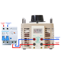 Variac TDGC2-5000va, transformateur variable, variac motorisé, entrée 220V, sortie 0-250V ou 0-300V, compteur analogique pour les tests de laboratoire