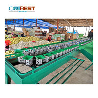 Nieuw Type Papaya Sorter Machine Durian Sorteermachine