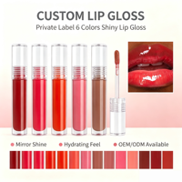 Gloss à lèvres liquide personnalisé avec logo, finition miroir, haute pigmentation, longue tenue, non collant, végétalien – Vente en gros à chaud