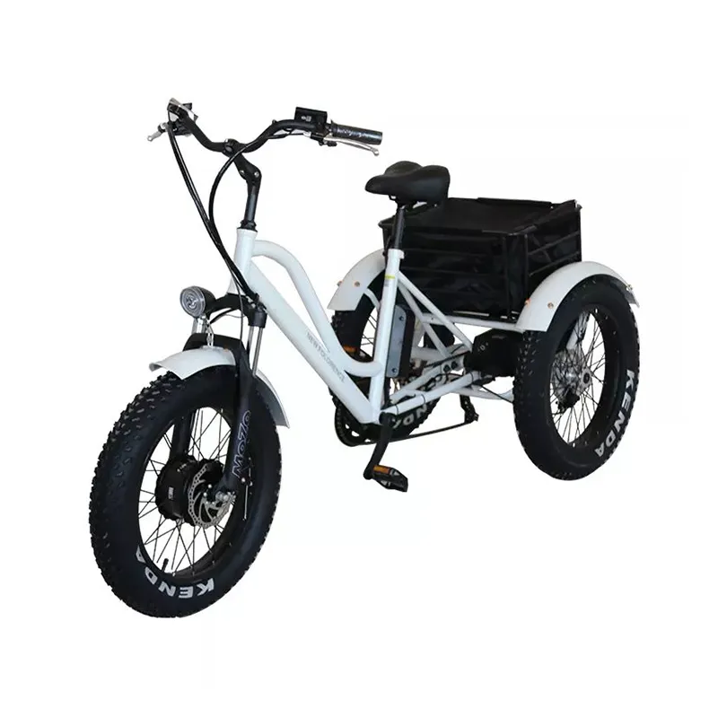 Fabrikant Groothandel Bajaj 48v20ah 3 Wiel Elektrische Driewieler Volwassen Aluminium Metalen Elektrische Driewieler