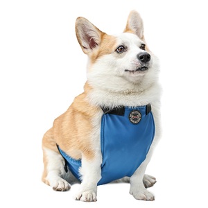 Produits d'habillement pour animaux <span class=keywords><strong>de</strong></span> compagnie en Chine, vente chaude, nouveau bavoir mignon pour toutes les races <span class=keywords><strong>de</strong></span> <span class=keywords><strong>chiens</strong></span>, bavoir anti-salive, bavoir imperméable pour Corgi - Product Image 2