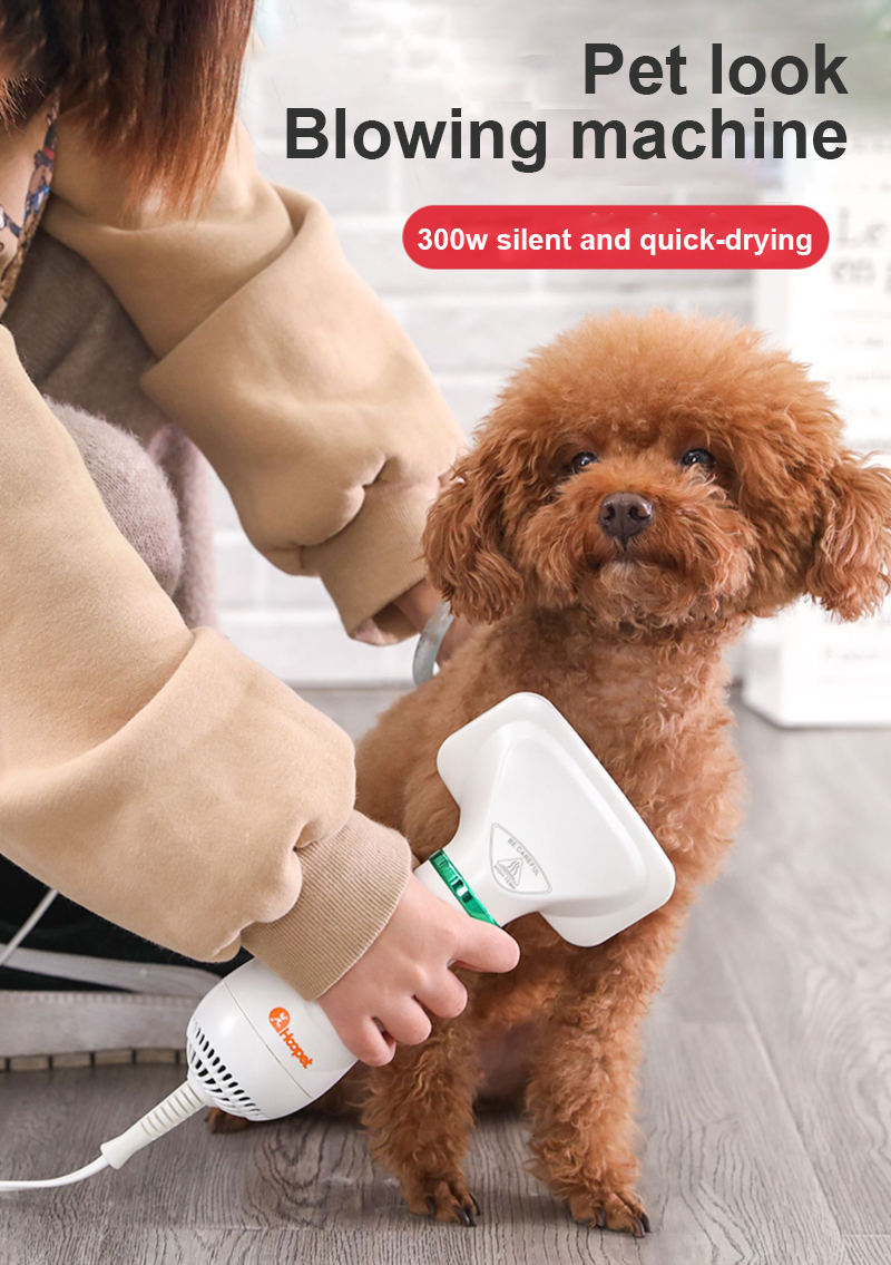 Cepillo Secador Pelo Perro Peine De Pelo Para Mascotas, Soplador