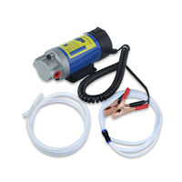Mini pompe électrique Portable, extracteur de transfert d'huile de moteur de voiture, fluide Diesel 100W, DC 12V 24V