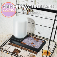 Abreuvoir automatique anti-noyade pour insectes, distributeur d'eau en plastique pour grillons, blattes Dubia, élevage de reptiles, toutes saisons