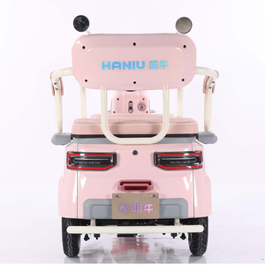 Transport 1000W <span class=keywords><strong>roue</strong></span> spéciale 3 roues adultes tricycles électriques vélo motorisé scooters de mobilité pour l'utilisation de la cargaison - Product Image 5