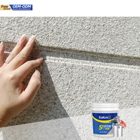 Revêtement Liquide Décoratif Extérieur Effet Pierre Naturelle pour Peinture au Pistolet Couleurs Personnalisées Imperméable Marbre Acrylique