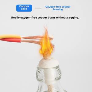 תקן לאומי רגיל נמוך מעגן אש הגנה מעוות 2.5 מ "מ חוט אזעקה 600v jinwancheng WDZ-RYJS - Product Image 3