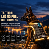 Harnais et laisse pour chien LED Qcool, réfléchissants et lumineux, en nylon réglable, accessoires pour animaux de compagnie, pour la marche nocturne, vente en gros OEM ODM