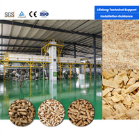 Ligne de production automatique de granulés de bois à matrice annulaire 2-10 TPH – Équipement de pelletisation de biomasse