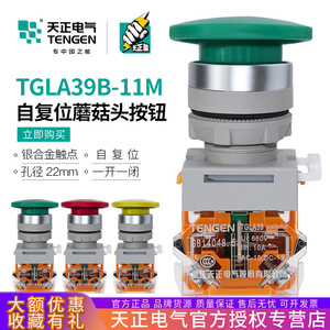 Interrupteur à bouton poussoir Tengen Mushroom Head 78mm Vert à réinitialisation automatique avec fonction de protection IP40 - Product Image 5