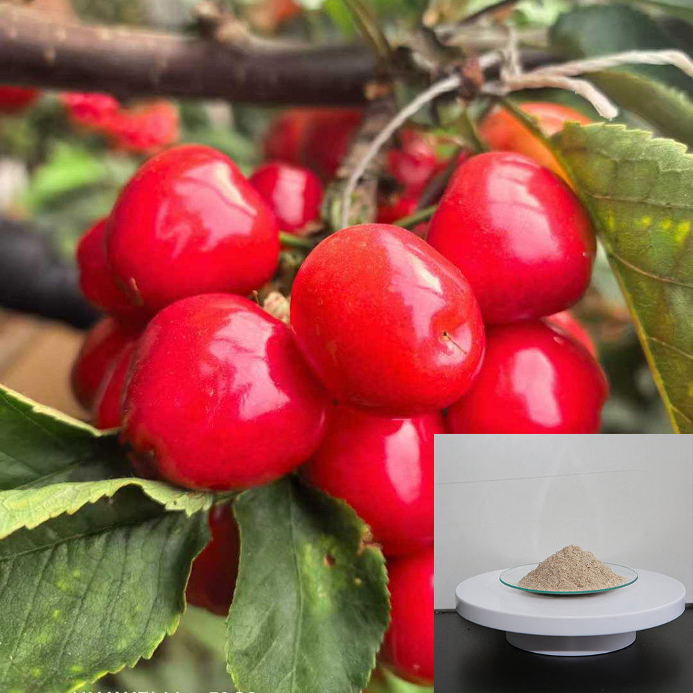 Wholesale Organic Liquid Humic Acid Fertilizer for Olive Trees image 6