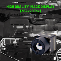 Module d'imagerie thermique Mini2 384, mesure de température industrielle, recherche et sauvetage en extérieur, vision nocturne, mise au point fixe