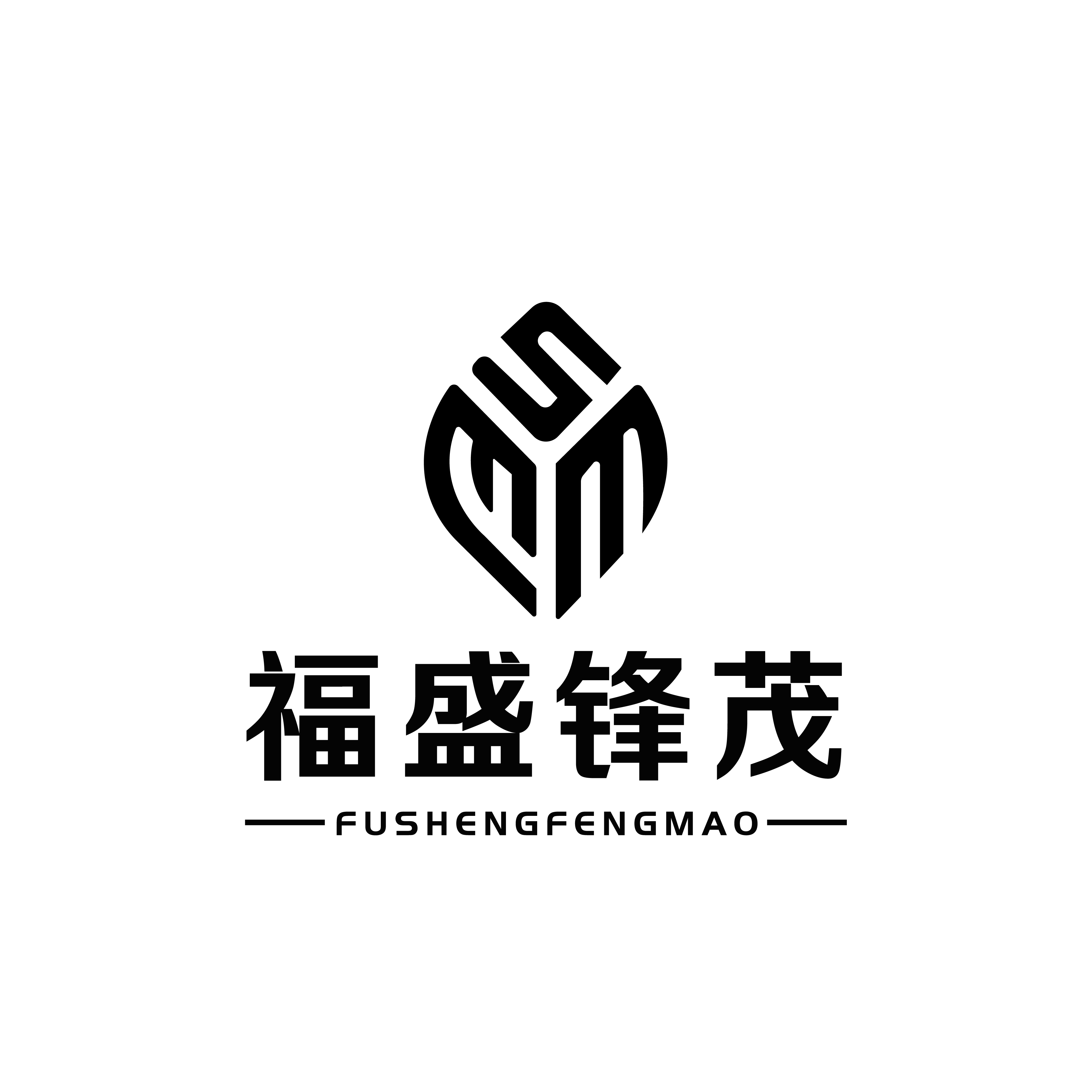 Xiamen FSFM Tech Co., Ltd. logo