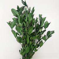 Décor à la maison de mariage tiges de feuilles bleu vert large longue feuille vraie fleur naturelle séchée feuilles de ruscus conservées