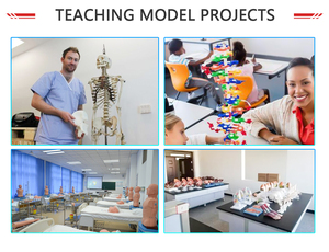 HC-S008 Simulator seluruh tubuh, maneken resusitasi jantung CPR manekin - Product Image 4