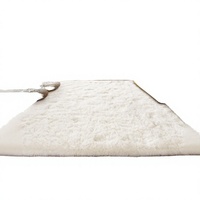 Tapis shaggy à poils longs en microfibre unie blanc crème, antidérapant, pour salon, chambre, dortoir, bureau à domicile, décoration 160*200cm