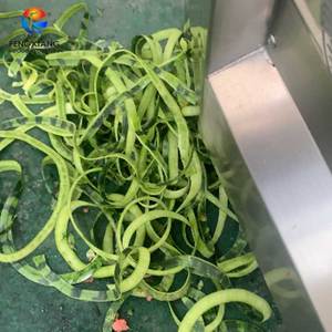 FXP-99 Dubbele Kop Fruitschiller Automatische Rockmelon Broodvrucht Jackfruit Watermeloenschilmachine - Product Image 5