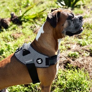 Harnais pour animaux de compagnie Flyharness Urban avec poignée, noir, gris, à motifs, bandes réfléchissantes, ajustement réglable, taille petite, moyenne, grande - Product Image 2