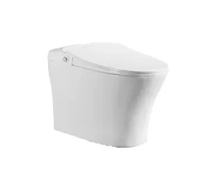 China sanitary ware smart toilet WaterMark SAA approved one piece bidge toilet