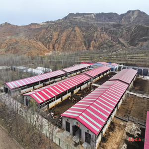 Precio DE FÁBRICA DE China, casas prefabricadas, edificio industrial de acero con potencial de certificación Ce - Product Image 1