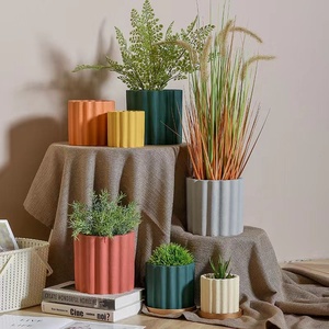 <strong>Pot</strong> Plants - Product Image 4