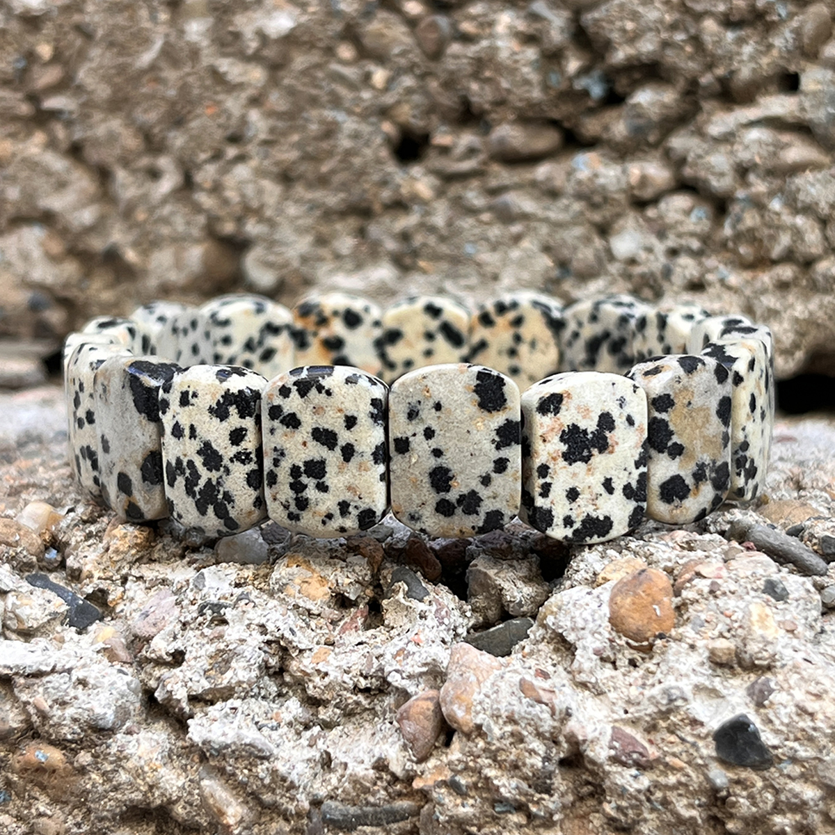 Jaspe dalmatien