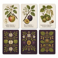 Cartes d'apprentissage botanique personnalisées écologiques et durables pour vergers, noms de plantes en latin et en polonais, papier couché mat, tiroir rigide
