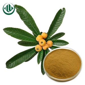20% 25% 50% 98% de Ácido Ursólico <span class=keywords><strong>Loquat</strong></span> Eriobotrya Japonica Extrato Da Folha <span class=keywords><strong>Loquat</strong></span> Extrato de Folhas Em Pó - Product Image 1