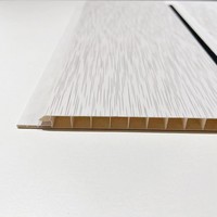 Placas de Techo de PVC Resistentes al Fuego Clase B1 para Edificios Públicos, Láminas de Techo de Plástico Ignífugas con Certificación de Seguridad