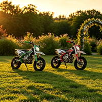 VTT 49 cm³ à transmission automatique, les meilleurs motocross pour enfants fabriqués en Chine, certifié CE, TURRUT Nouveau