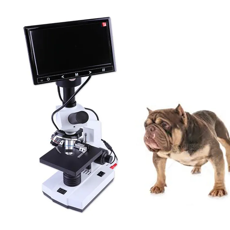 Microscope à spermatologie Portable CE Cinine et Microscope à spermatologie pour chien