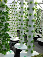 Tour hydroponique verticale multicouche Seedafarm Space Tree, système de culture de légumes intelligent pour intérieur avec pompe
