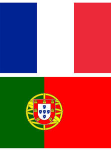 Drapeaux en polyester de grande taille personnalisés avec logo, imprimés en sérigraphie, pour les équipes de cheerleading et les événements - Product Image 4