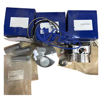 Pièces mécaniques pour moteur diesel, compresseur, excavateur, groupe de pistons de remplacement, piston 115017621 115104090 pour Perkins 403D-11