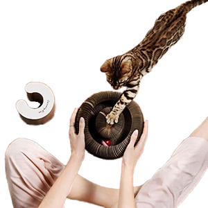Yüksek kaliteli karton tasarımı ile interaktif kedi oyuncak - Product Image 2