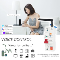 Pemutus Sirkuit Cerdas Tuya WiFi Pengukur Energi, Kontrol Jarak Jauh Aplikasi Smart Life, Pengatur Waktu, Penutupan Otomatis, DIN Rail MCB