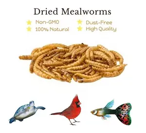 Esschert Design ZYA104 GMP 150g Dust-Free 100% Natural Pet Bird Feeding Wholesale High Protein Freeze Dried Mealworms