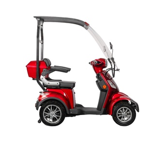 Tricycle électrique 1000W pour adultes, chariot mobile pour restauration rapide avec <span class=keywords><strong>2</strong></span> <span class=keywords><strong>places</strong></span>, adapté aux personnes handicapées, <span class=keywords><strong>moto</strong></span> à <span class=keywords><strong>3</strong></span> <span class=keywords><strong>roues</strong></span> - Product Image 1