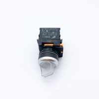 Bouton sélecteur SKB0-PX11D 22 mm, bouton rotatif momentané ou maintenu, éclairé, 6~380 V, corps court, bouton sélecteur rotatif