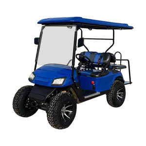 WELIFT-Carrito de golf eléctrico EW2028K, 60V/100Ah, 1-2 asientos con rango de 100km - Product Image 3