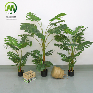 Planta Artificial de Hoja de Tortuga, Altamente Realista, Ecológica, de Plástico, para Interiores/Exteriores, en Maceta, Precio de Fábrica - Product Image 3