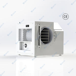 DFD-2 0.2 metri quadrati Mini uso domestico liofilizzatore per alimenti e frutta liofilizzatore sottovuoto con pompa a vuoto libera - Product Image 3