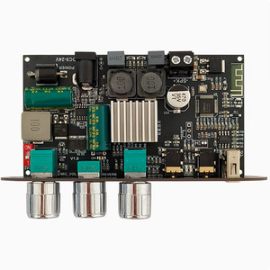 Wuzervon ZK-1001UM 100W Mono <b>Amplifier</b> Board With Mic Reverb For Outdoor <b>Speaker</b> TPA3116 - Product Image 2