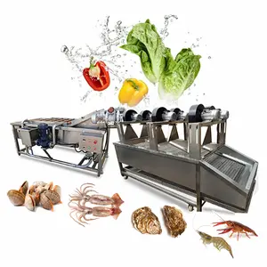 Automatic Papaya Ozone Olive Lemon Washer Small A Laver Root Vegetable Parsley Wash Clean Machine