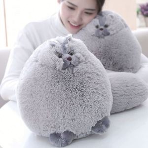 12 Inches Winsterch Stuffed Animal Toys Kids <b>Plush</b> <b>Cat</b> Teddy Soft Toy Birthday Gifts for Boys and Girls - Product Image 6